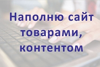 Наполню интернет-магазин товарами