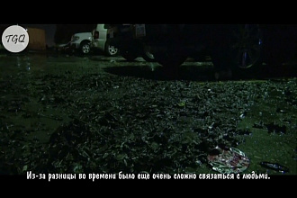 Сделаю субтитры или просто тайминг к видео