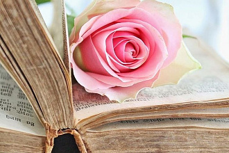 Помогу написать книгу или фанфик