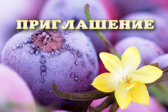 Создам анимированную открытку-приглашение, gif, возможно flash