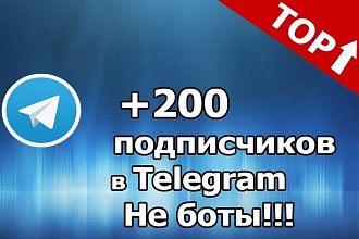 +200 подписчиков на телеграмм не боты