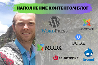 Наполнение контентом блог