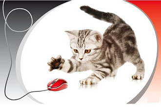 Установлю на хостинг NetCat