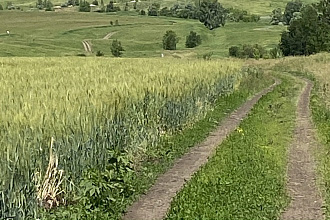 Выполняю переводы