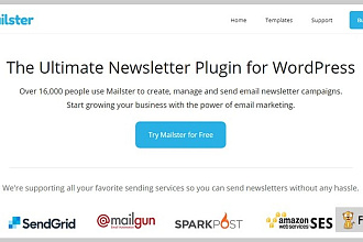 Премиум - плагин Mailster-Email рассылки на русском с обновлениями