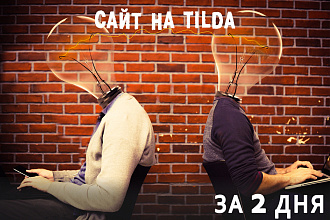 Создание сайта на Tilda быстро и не дорого