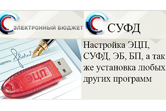 Настрою Электронный бюджет, СУФД, а так же установка любых программ