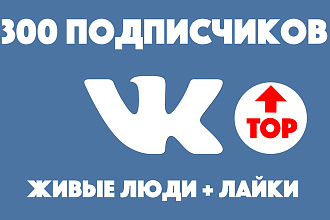 300 живых подписчиков ВК + лайки