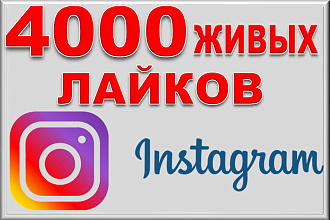 4000 живых лайков в instagram