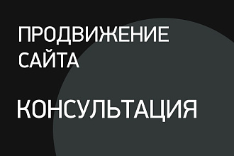 Консультация по SEO-продвижению сайта