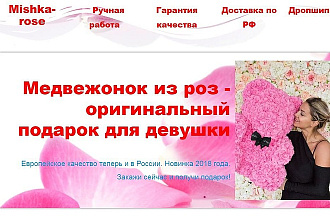 Копирование лендингов по заказ