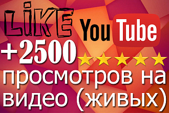 +2500 живых просмотров на видео YouTube