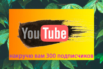 300 подписчиков на youtube