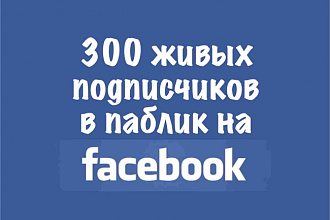 300 подписчиков в паблик на Facebook