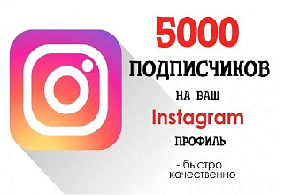 Подписчики в Инстаграм