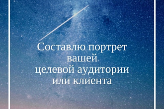 Создам портрет вашей целевой аудитории и клиента