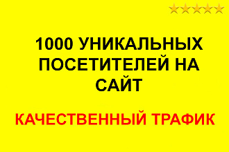 1000 уникальных посетителей на сайт. Качественный трафик