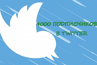 4000 подписчиков в twitter Твитер