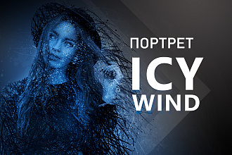 Портрет Icy wind