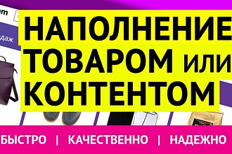 Добавлю 50 товаров в интернет-магазин
