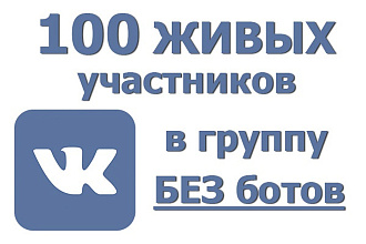 За день 100 живых участников в группу ВК. Люди вручную, без ботов