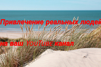 Качественное продвижение YouTube канала