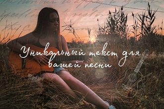 Напишу текст песни на любую заданную вами тему