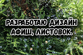 Разработаю дизайн афиш, листовок