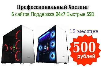 12 месяцев профессионального хостинга + бонусы