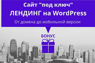 Лендинг под ключ. От регистрации домена до seo-оптимизации лендинга
