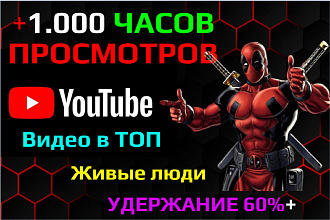 Ютуб +1.000 часов просмотров видео. Удержание 60%+ Социальный трафик