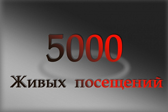 5000 живых посетителей на сайт. Только реальные люди