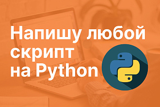 Напишу скрипт на Python