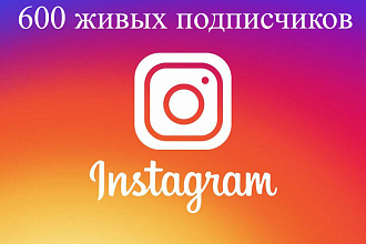 600 живых подписчиков в инстаграм