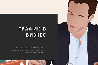 Приведем трафик в бизнес