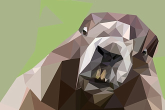 Low poly design