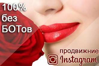 Раскрутка и Продвижение Instagram