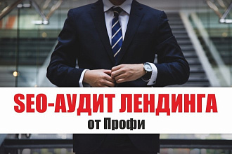 SEO-аудит Лендинга от Профи - анализ, оценка внутренней оптимизации