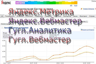 Настрою метрику и аналитику Вашего сайта
