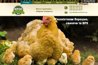 Создаю сайт, интернет-магазин. Дизайн красивый и понятный