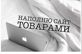 Наполнение сайта контентом