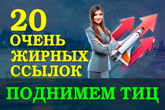 20 очень жирных ссылок. Все ссылки в Я. К и общий ТИЦ более 19000