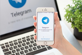200 подписчиков Telegram