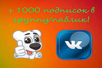Добавлю 1000 подписчиков в группу или паблик Вконтакте