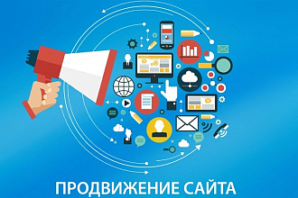 3000 посетителей на ваш сайт