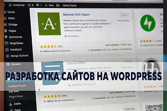Разработка сайта на WordPress