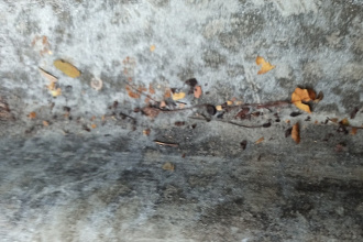 Переведу