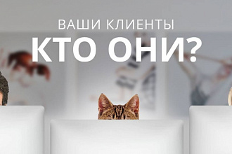Составлю портрет целевого клиента