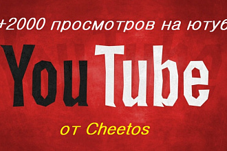 + 2000 просмотров на ютубе