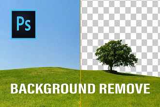 Remove BackGround